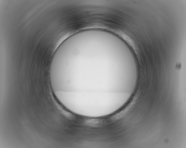 X0000090621329200708141404