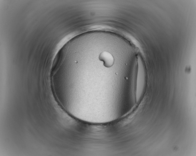 X0000090621330200708141404