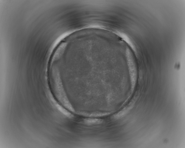 X0000090621331200708141404