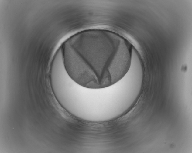 X0000090621332200708141404