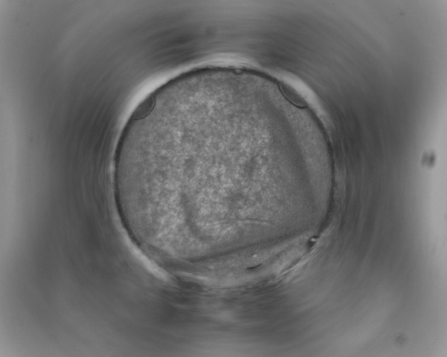 X0000090621335200708141404