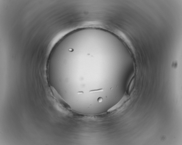 X0000090621336200708141404