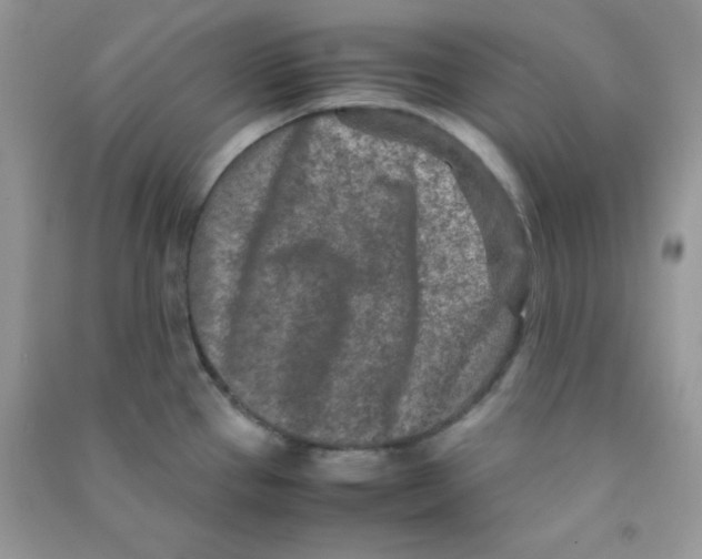 X0000090621337200708141404