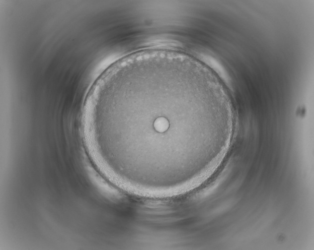 X0000090621338200708141404