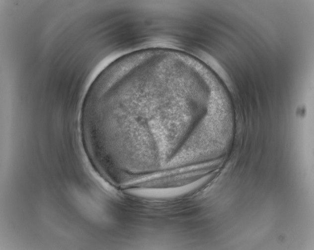 X0000090621339200708141404