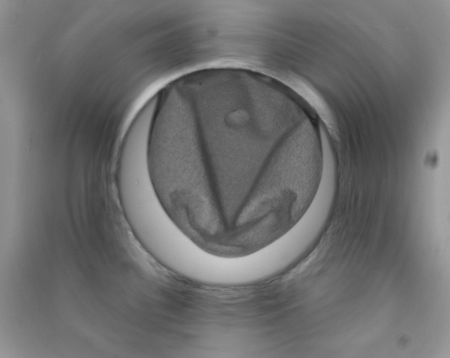 X0000090621340200708141404