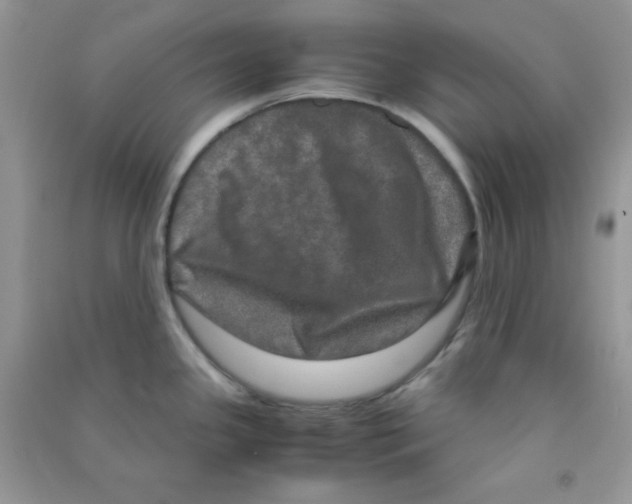 X0000090621341200708141404