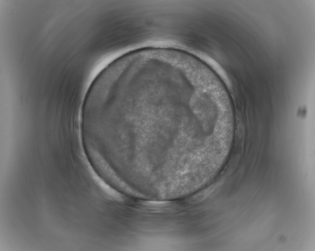 X0000090621343200708141404