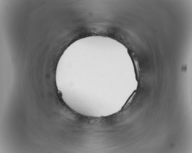 X0000090621345200708141404