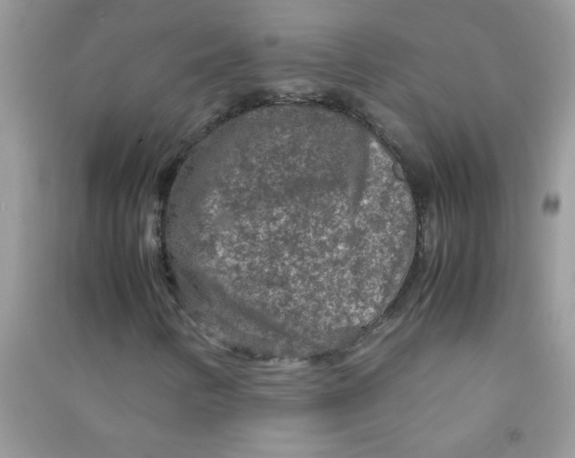 X0000090621346200708141404