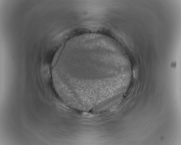 X0000090621347200708141404