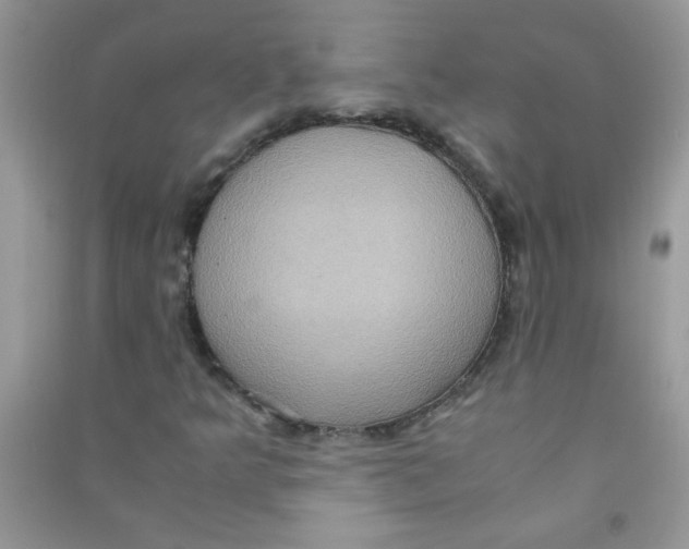 X0000090621349200708141404