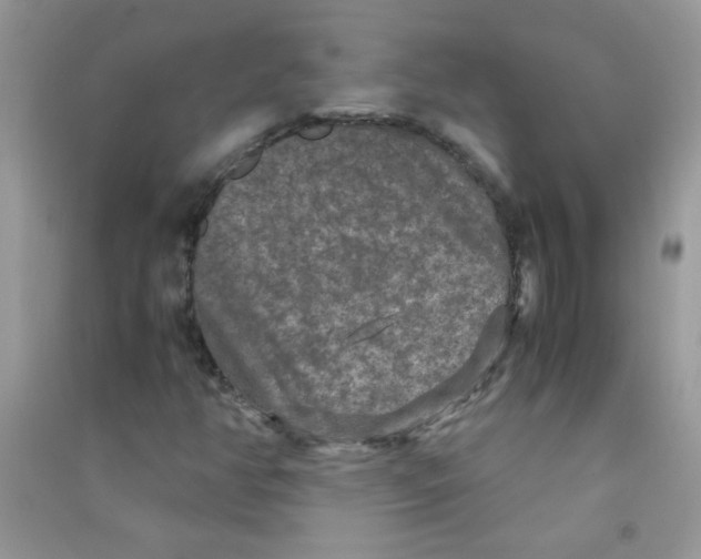 X0000090621350200708141404