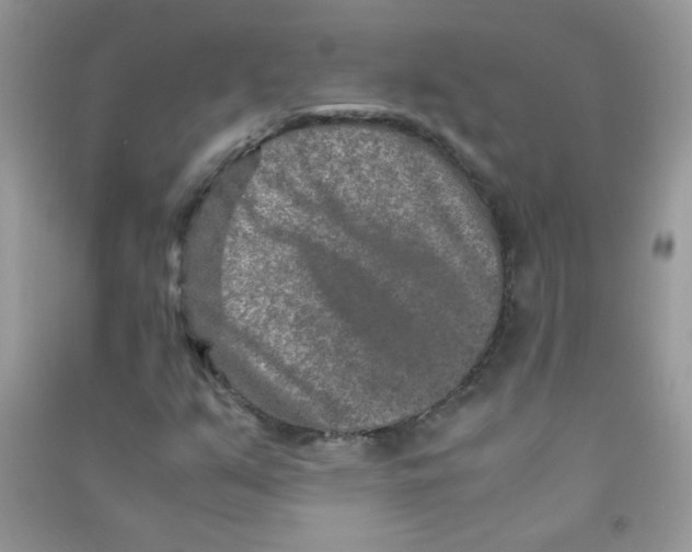 X0000090621351200708141404