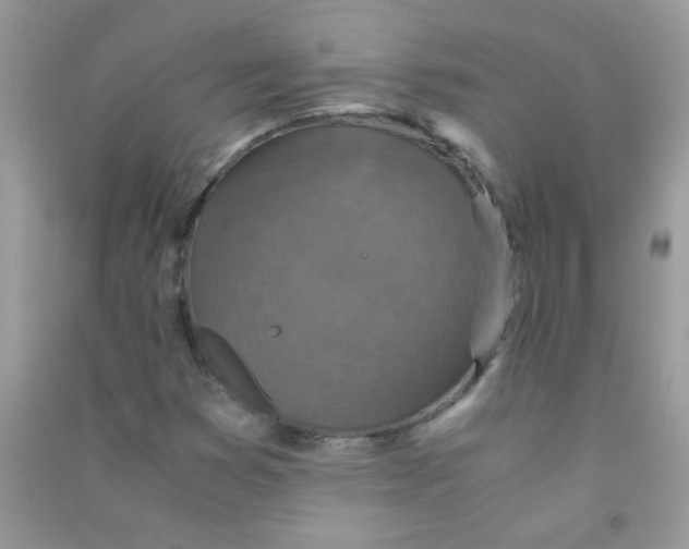 X0000090621353200708141404