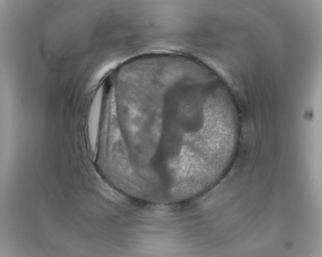 X0000090621355200708141404