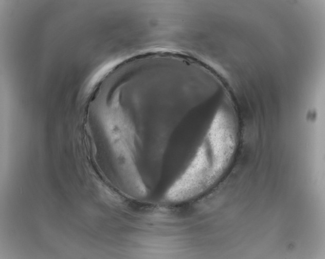 X0000090621359200708141404