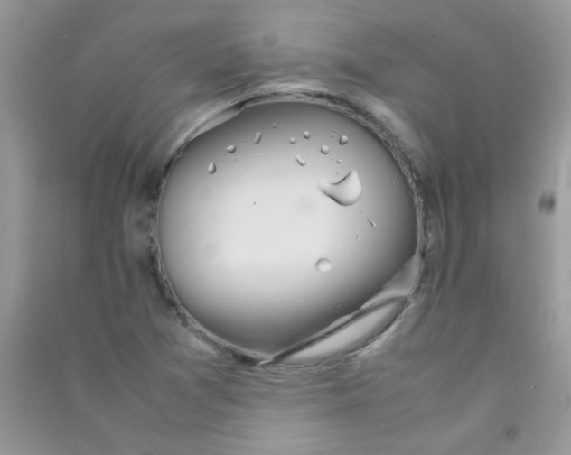 X0000090621361200708141403