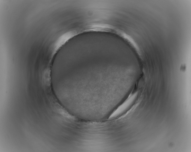 X0000090621362200708141403