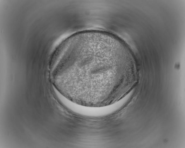 X0000090621363200708141403