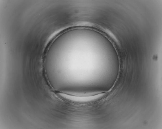 X0000090621364200708141403