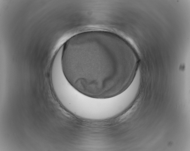 X0000090621365200708141403