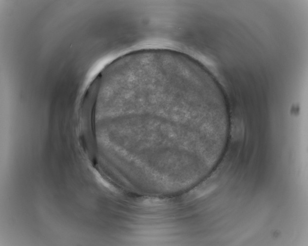 X0000090621366200708141403