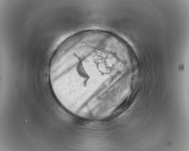 X0000090621367200708141403