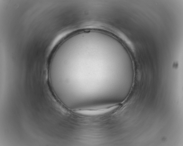 X0000090621368200708141403