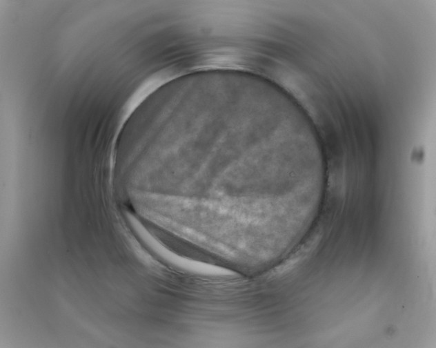 X0000090621370200708141403