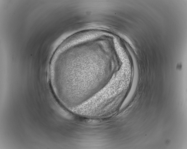 X0000090621371200708141403