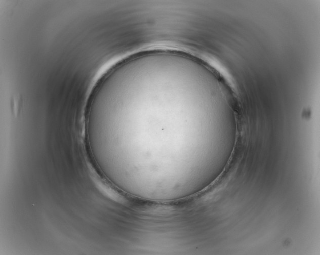 X0000090621372200708141403