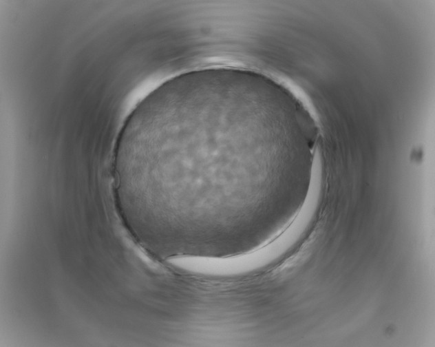 X0000090621373200708141403