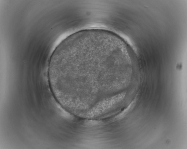 X0000090621374200708141403