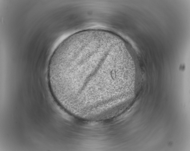 X0000090621375200708141403