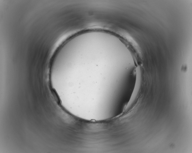 X0000090621376200708141403