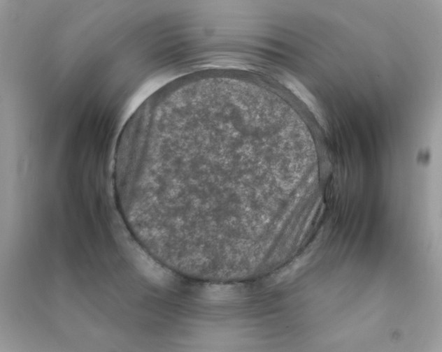 X0000090621378200708141403