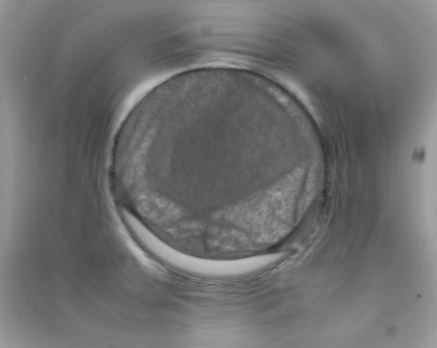 X0000090621379200708141403