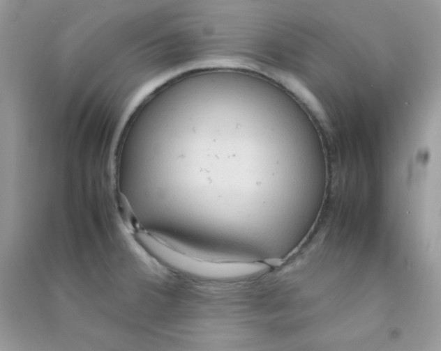 X0000090621380200708141403