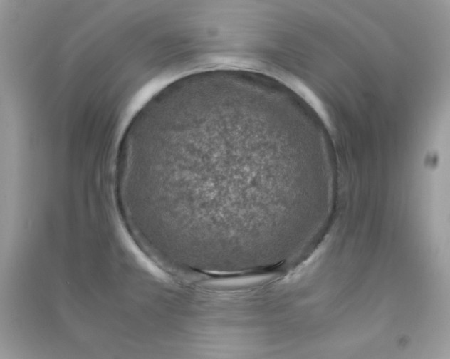 X0000090621381200708141403