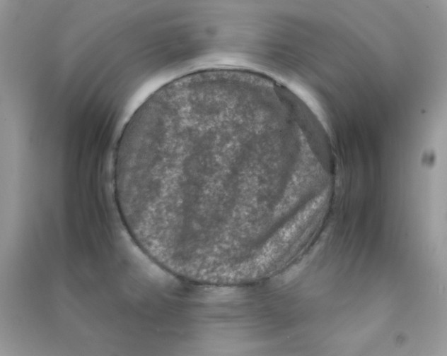 X0000090621382200708141403