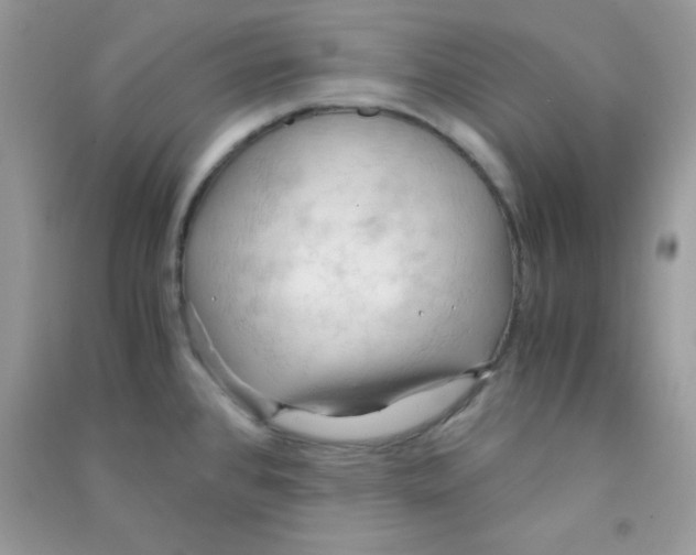 X0000090621384200708141403