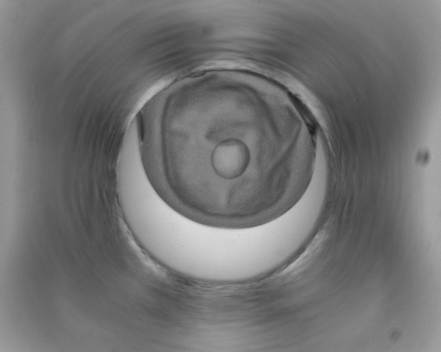 X0000090621385200708141403