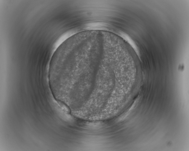 X0000090621386200708141403