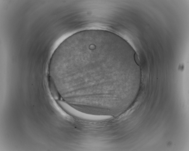 X0000090621387200708141403