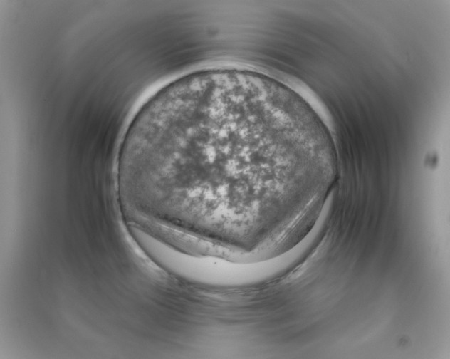 X0000090621388200708141403