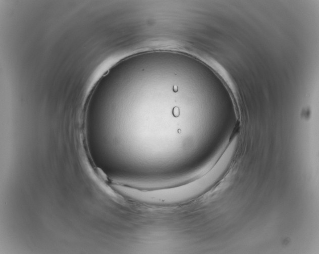 X0000090621389200708141403