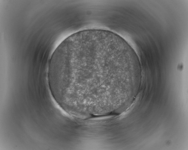 X0000090621390200708141403