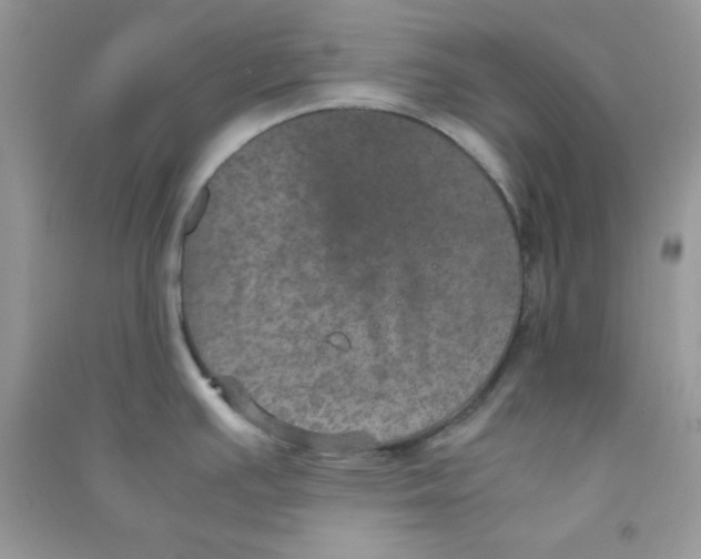 X0000090621391200708141403