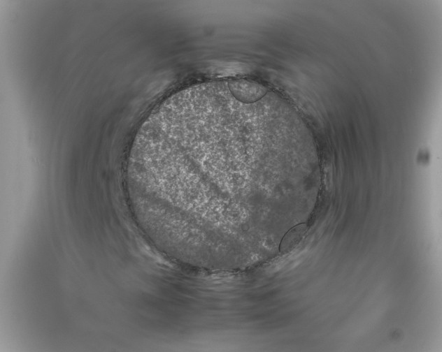 X0000090621393200708141402